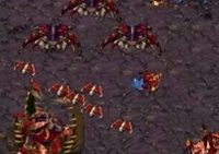 เกมส์สงครามสตาร์คราฟต์ (Starcraft 2008)