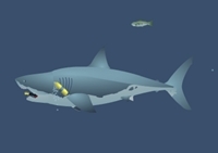 เกมส์ปลาฉลามกินนักดำน้ำ (Mad Shark)