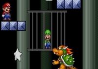 เกมส์มาริโอช่วยพี่ชาย (Super Mario Save Luigi)