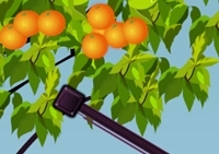 เกมส์เก็บเกี่ยวผลไม้ (Fruit Pole)