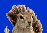 เกมส์กระรอกเก็บลูกโอ๊ก (Acorn Toss)