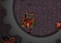 เกมส์สงครามสตาร์คราฟต์ 5 (Starcraft Flash Action 5)