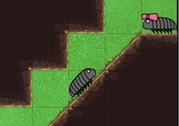 เกมส์เลี้ยงหนอนดิน (Pillbug Run)