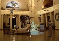 เกมส์ปริศนาหาของในพิพิธภัณฑ์ (Hidden Objects Museum)