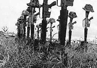 เกมส์แผนการรบ (Field Command)