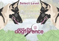 เกมส์จับผิดภาพสุนัขเพื่อนซี้ (Spot The Dogference)