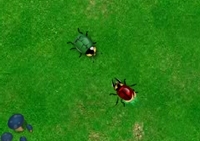 เกมส์สงครามแมลงปีกแข็ง (Beetle Wars)