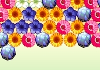 เกมส์พลังแห่งดอกไม้ (Flower Power)